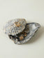 pack_shot-detail