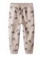 pack_shot-front
